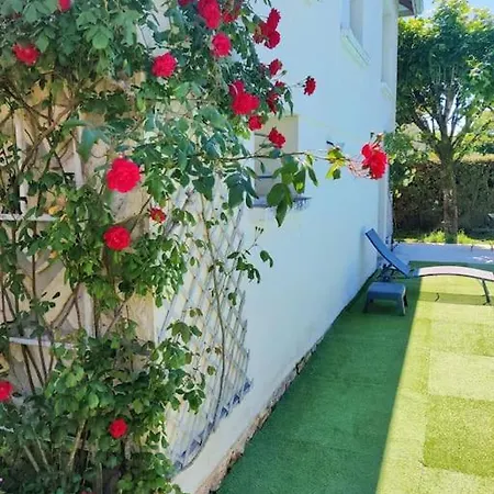 Le Dragon - Centre, Piscine Partagee, Wifi, Jardin, Gare A 500m Niort