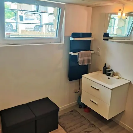 Le Dragon - Centre, Piscine Partagee, Wifi, Jardin, Gare A 500m Apartament *