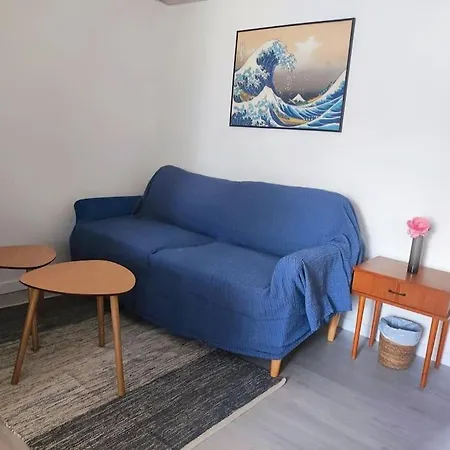 Le Dragon - Centre, Piscine Partagee, Wifi, Jardin, Gare A 500m * Niort